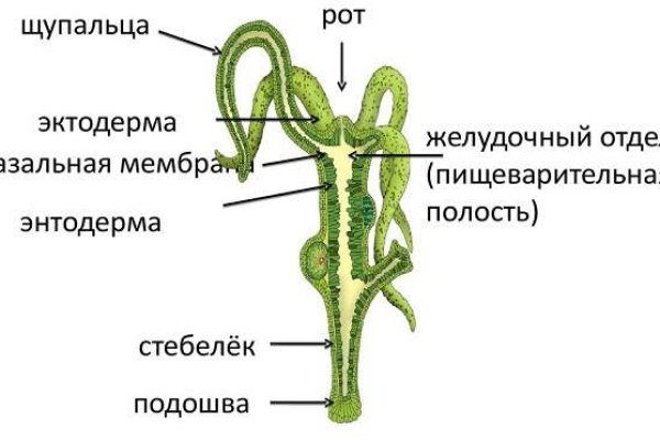 Кракен это гидра